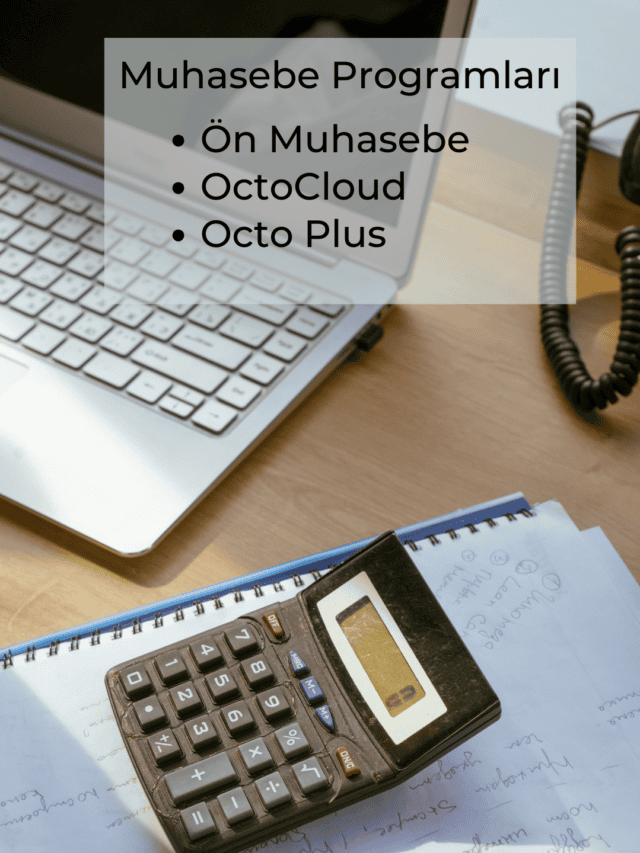 Muhasebe Programları
