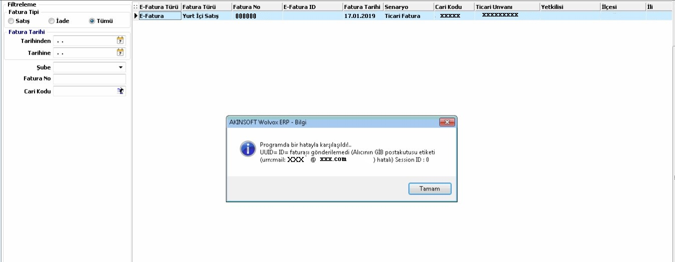 Wolvox Erp Cari Tanım E-Fatura Ayarları